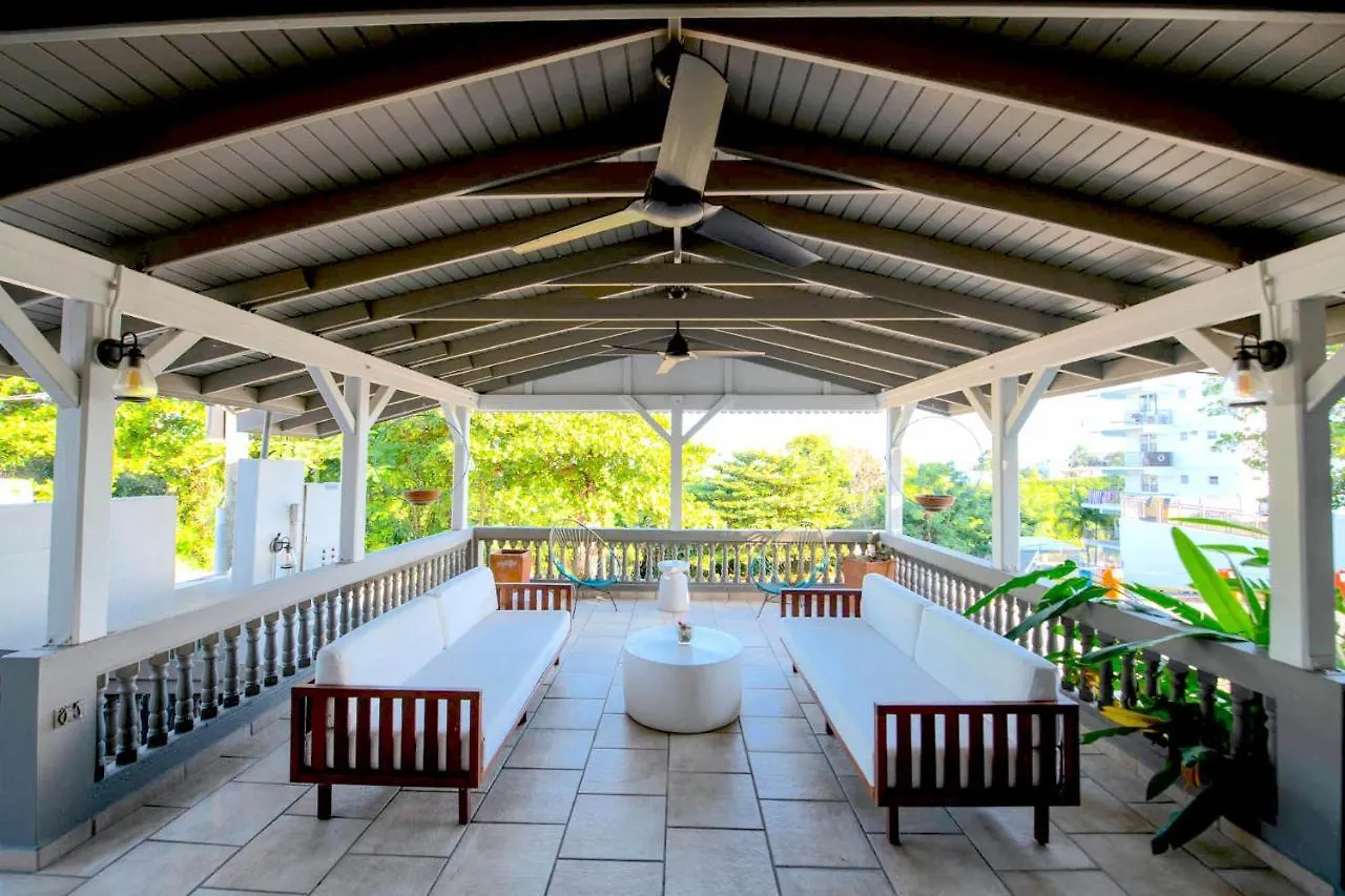 Lazy Parrot Inn Rincón Porto Rico