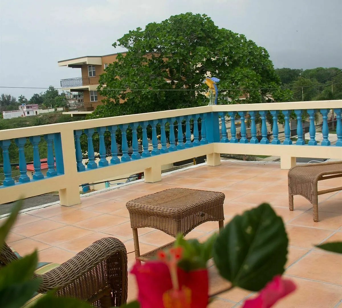 Lazy Parrot Inn Rincón